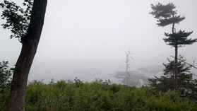 この時期の幻想的な景色