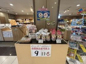 朱鷺（トキ）の放鳥記念