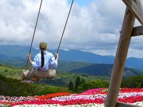 夏の茶臼山高原楽しみ方ガイド