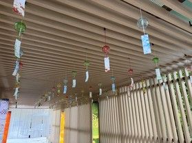夏らしい音が増えました🎐