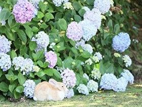 6月のお得情報♪