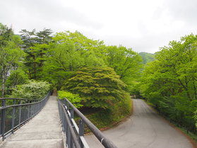 最近の休暇村園地＆レンゲツツジ情報