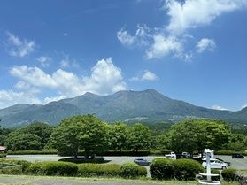 雪化粧ならぬ花化粧