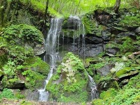 たまだれの滝までの散策