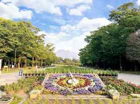 吉野公園