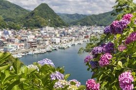 毎年6月1日から30日に開催「あじさい祭り」