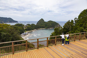 朝の海を満喫！ナミカゼお散歩のご案内