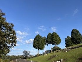 【オフピーク】6月のオフピーク空き状況について