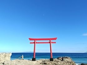 夏が来る前に、静かな神社を訪れませんか？