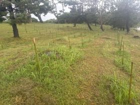 「ミライ」を植えるプロジェクト