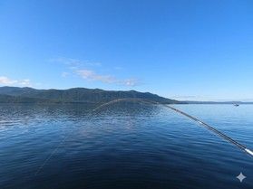 支笏湖チップ<br>本日は限定６匹です!