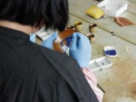 自分だけの伝統工芸を作る「郷原漆器絵付け体験」