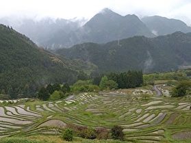 雨ならではの風情　日本の棚田百選～丸山千枚田～