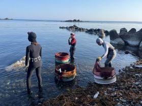 休暇村前の海岸では海女漁が今年も始まっています。