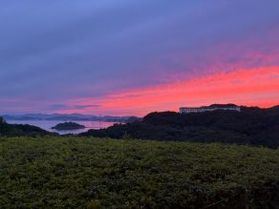 綺麗な夕焼けが見れました