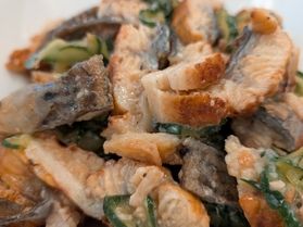 お酢でさっぱりいただく「鰻ざく(うざく)」が始まります