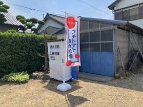 ミニトマト詰め放題!!渥美半島とまとランド