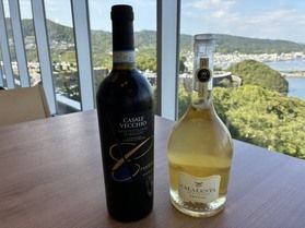 ソムリエおすすめの新しいワイン🍷