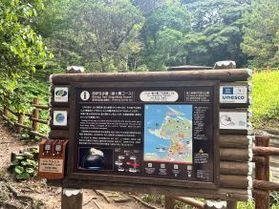 西伊豆・堂ヶ島「伊豆半島食の祭典」へ行ってきました