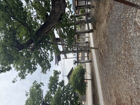 喜多方の隠れた名所・熊野神社の魅力