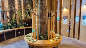 大人だけじゃない!子どもも大喜びの支笏湖ビジターセンター