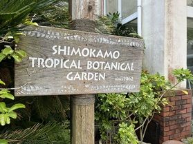 雨の日、オススメの過ごし方