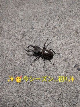 !みぃ~つけたぁ~!