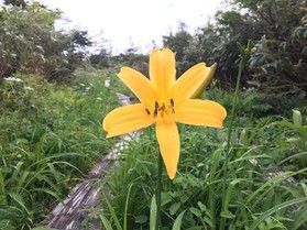 日本全国の国立公園そして休暇村に行ってみよう
