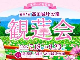 【夏の風物詩】東洋一の蓮が咲き誇る!高田城址公園