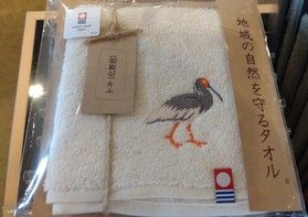 売れてます♬「地域の自然を守るタオル」