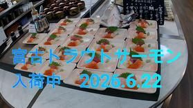 宮古トラウトサーモン入荷中