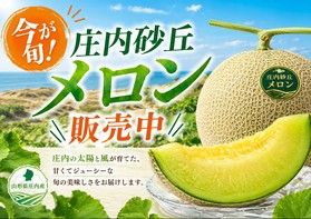 【旬到来】甘くとろける果肉とあふれる瑞々しさ+*