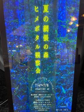 夏のヒメボタルの観察会まであと少し!