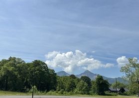 朝の散歩毎日開催しております