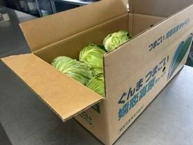 嬬恋キャベツ出荷開始！
