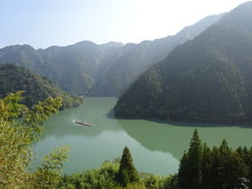 愛知の秘境⁉豊根村富山地区の魅力をお伝えします!