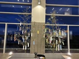 もうすぐ七夕✨