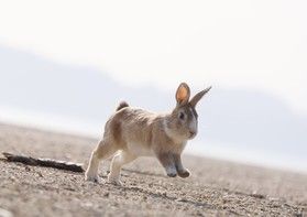 現在販売中のプラン紹介♪