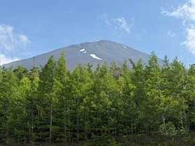 休暇村富士周辺から撮影した富士山