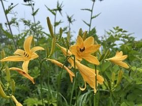野反湖ツアーに行ってきました!