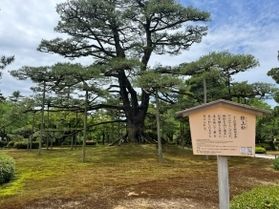 金沢初心者が歩いてみた 兼六園ゆるっと散歩