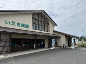 旬の桃で一息♪
