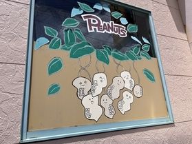 館山で人気!「木村ピーナッツ」に行ってきました !!