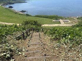 真夏の【園地大整備計画】