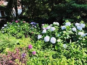 とっておきのカフェ