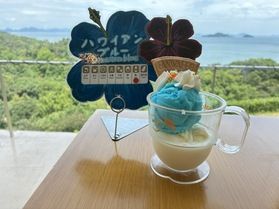まるで南国気分🌺🌴
