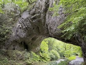 観光スポット【雄橋】について
