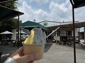 いよいよ夏本番。アイスの美味しい季節です!