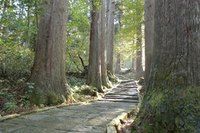 今年の夏休みは２４４６段に挑戦！！