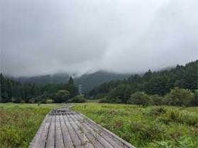 湿原への旅